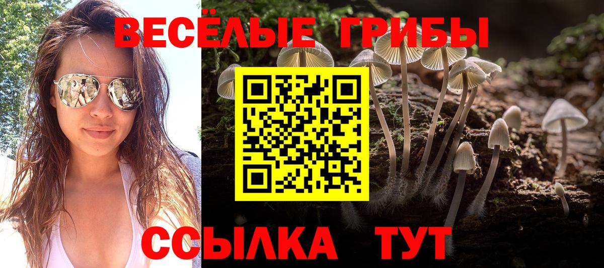 Псилоцибиновые грибы мухоморы Кулебаки