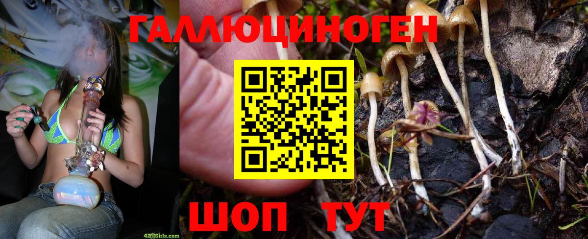 Кулебаки  Псилоцибиновые грибы MAGIC MUSHROOMS  Вход с VPN 
